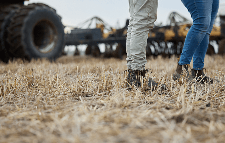 Two people in a field